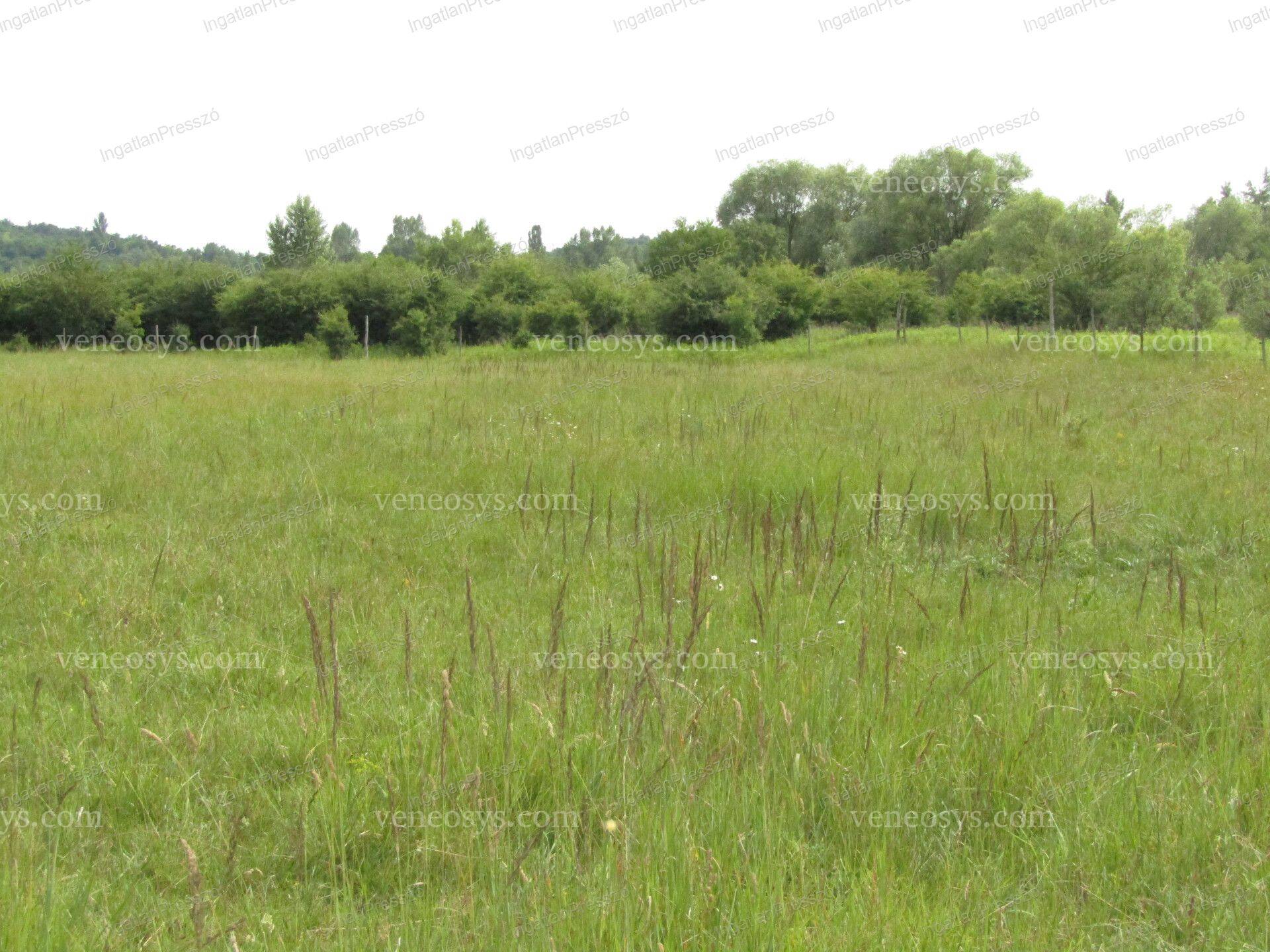 Kép 3