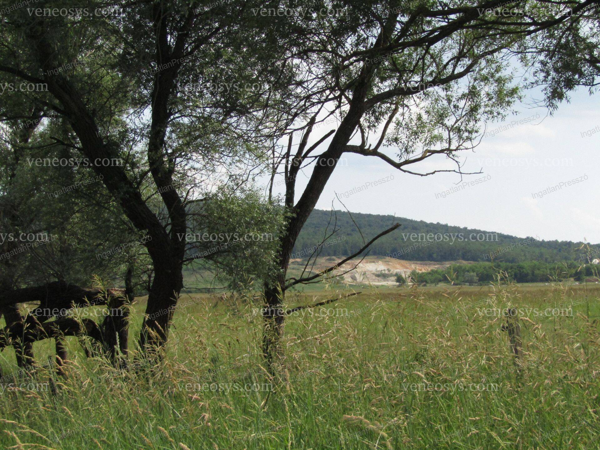 Kép 13