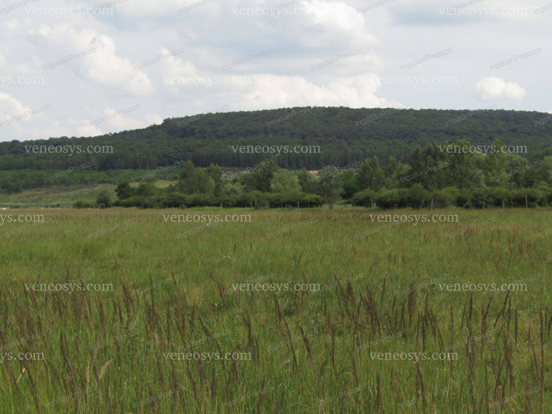 Kép 4
