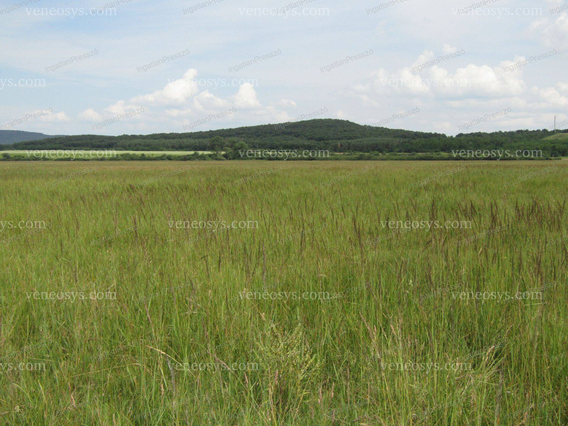 Kép 10
