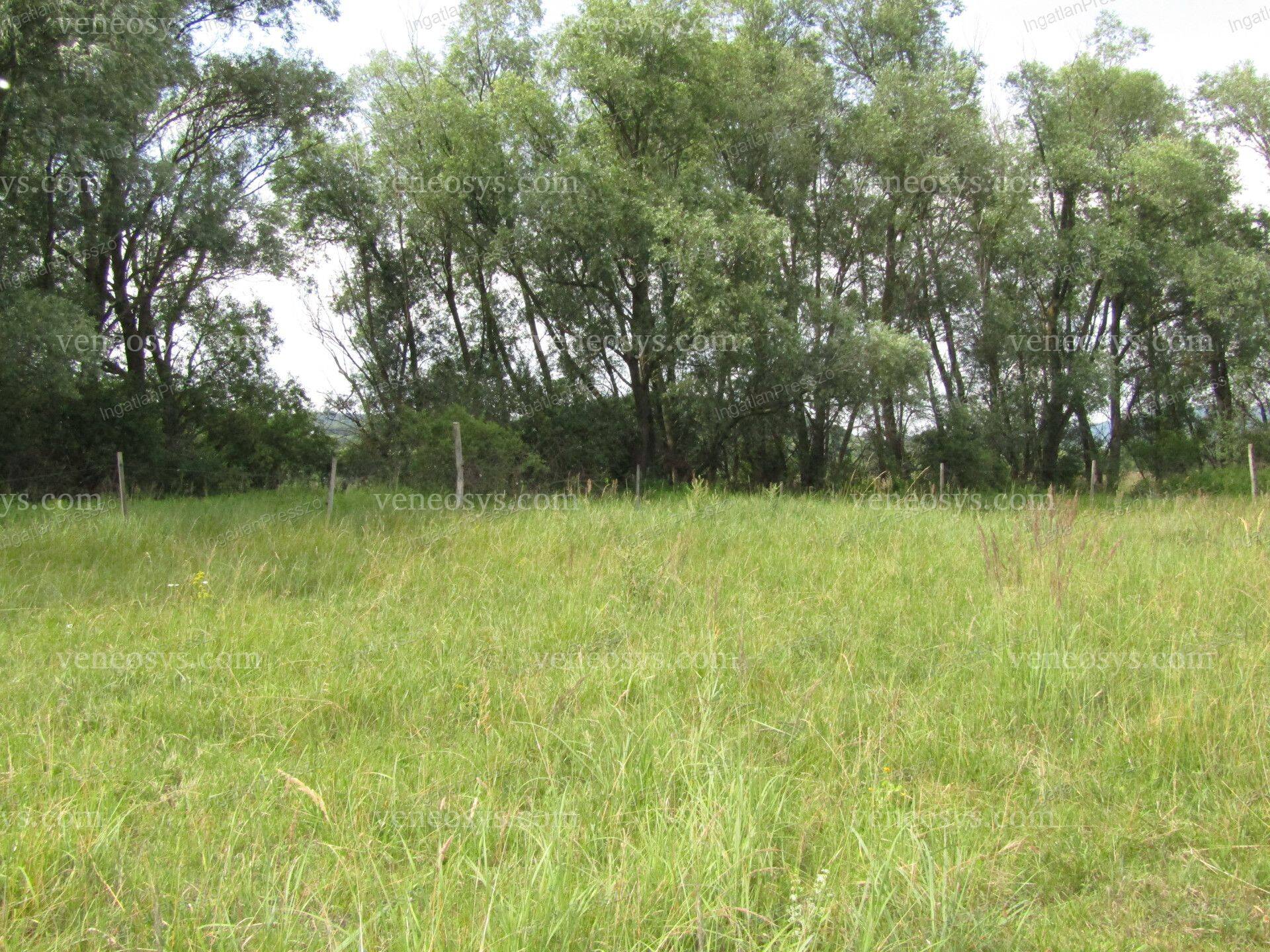 Kép 7