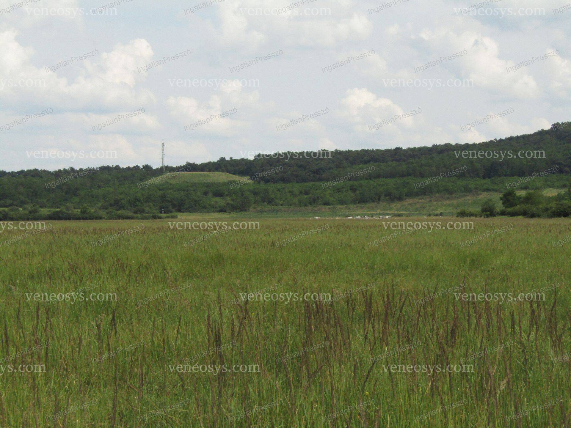 Kép 9