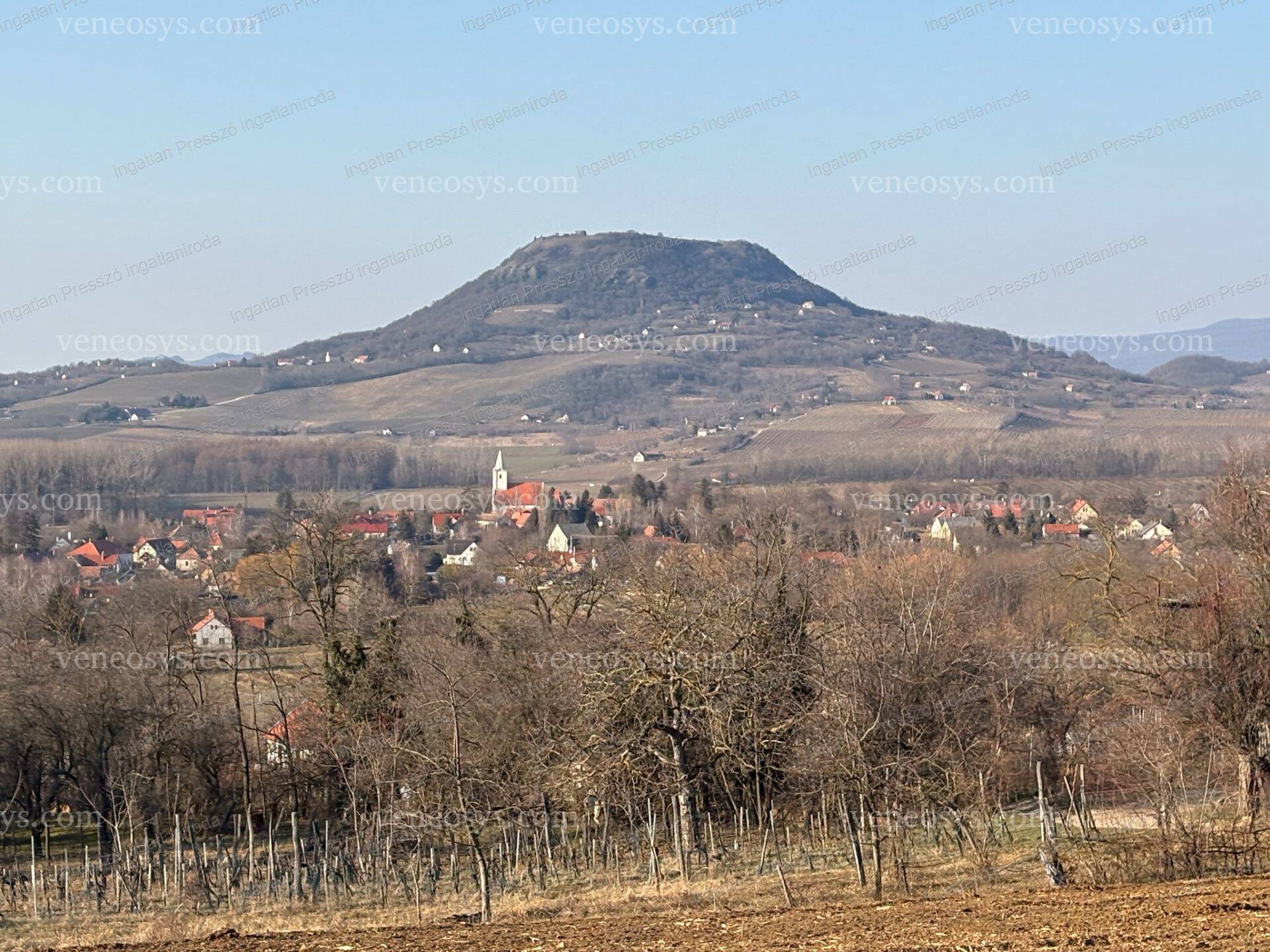 Kép 19