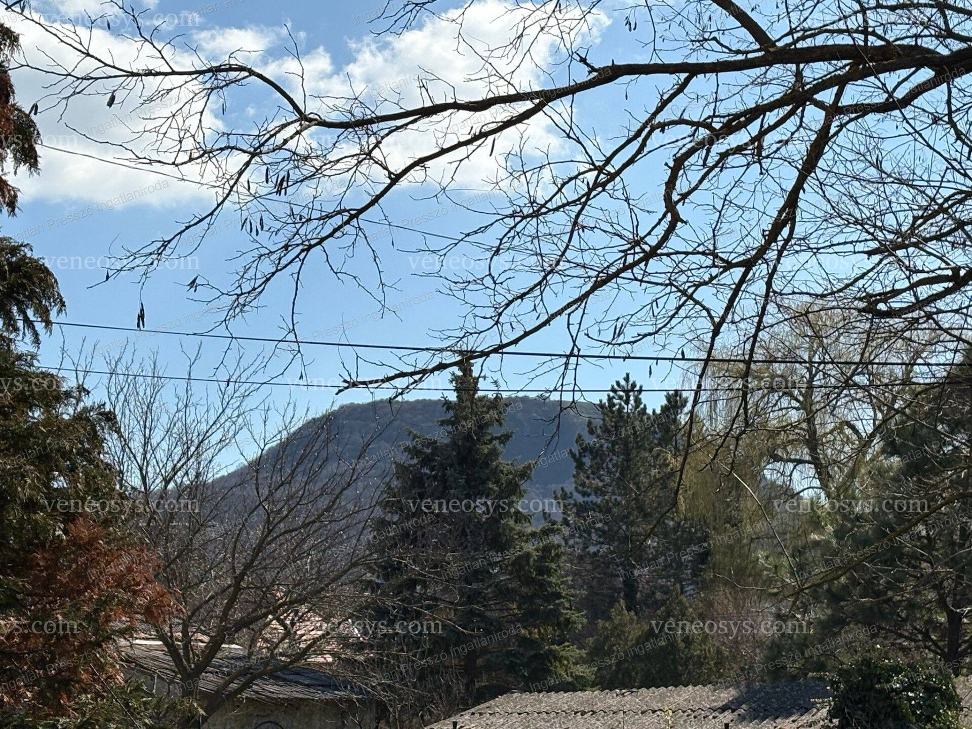 Kép 18