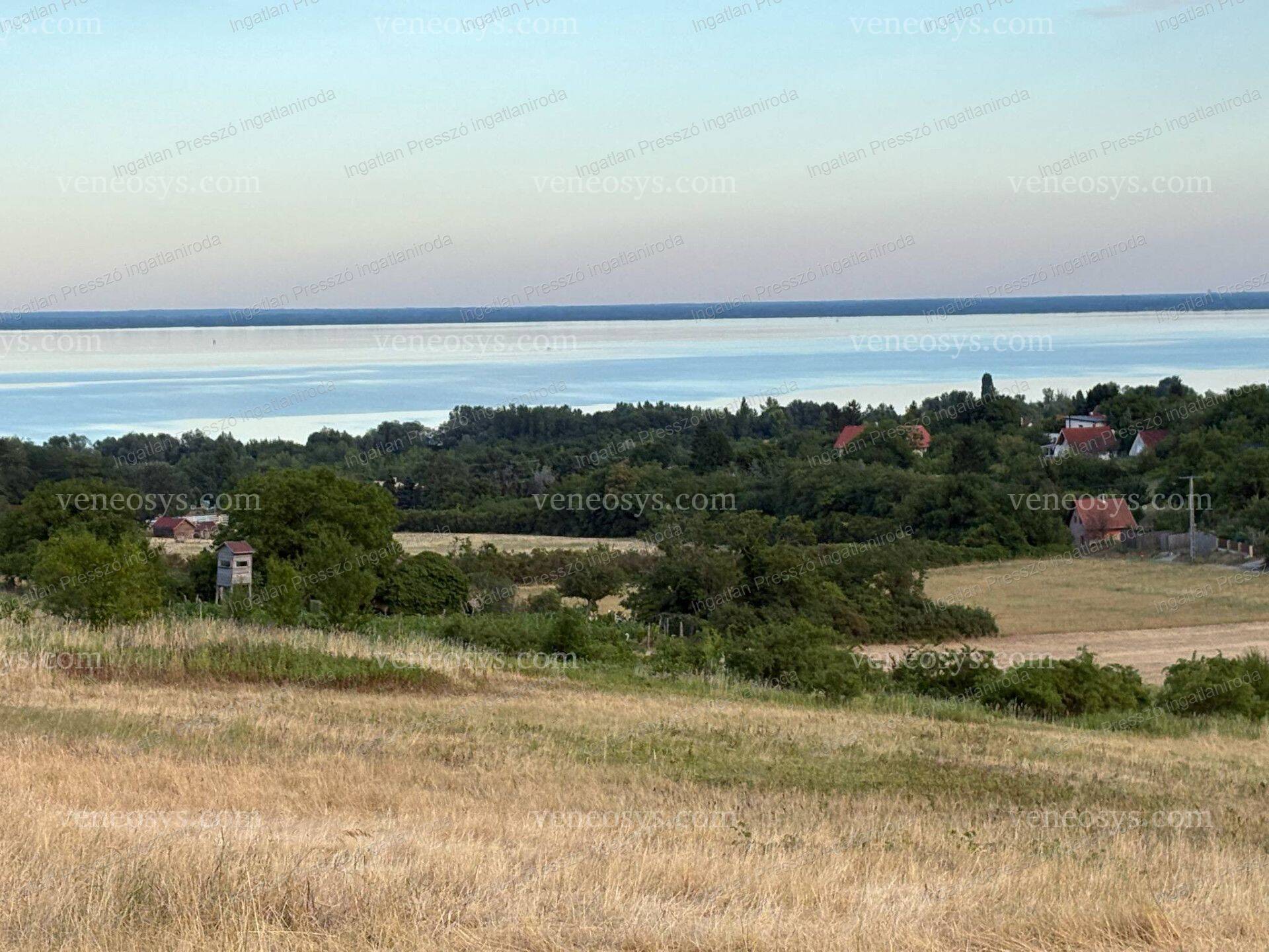 Kép 3