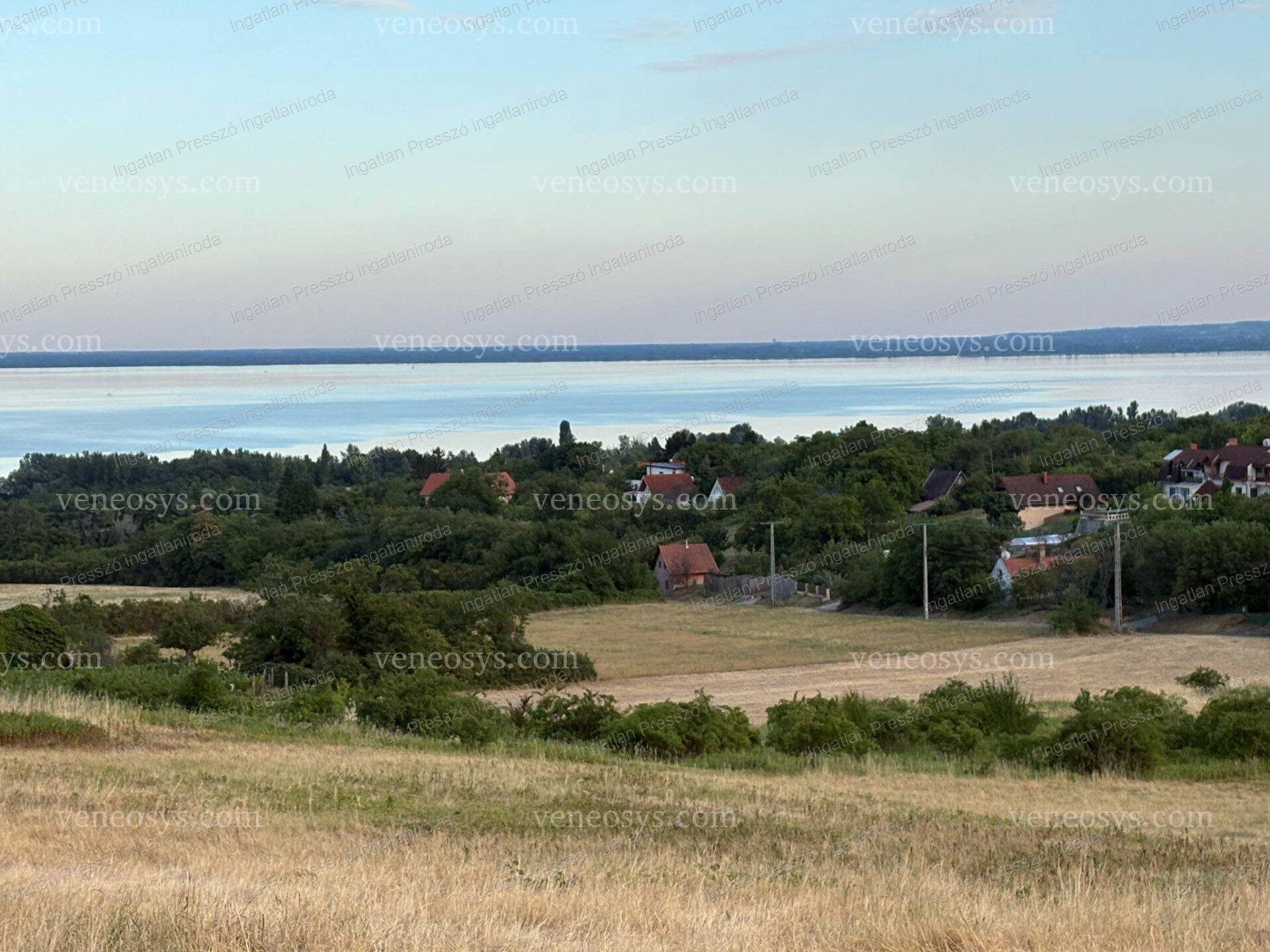 Kép 5