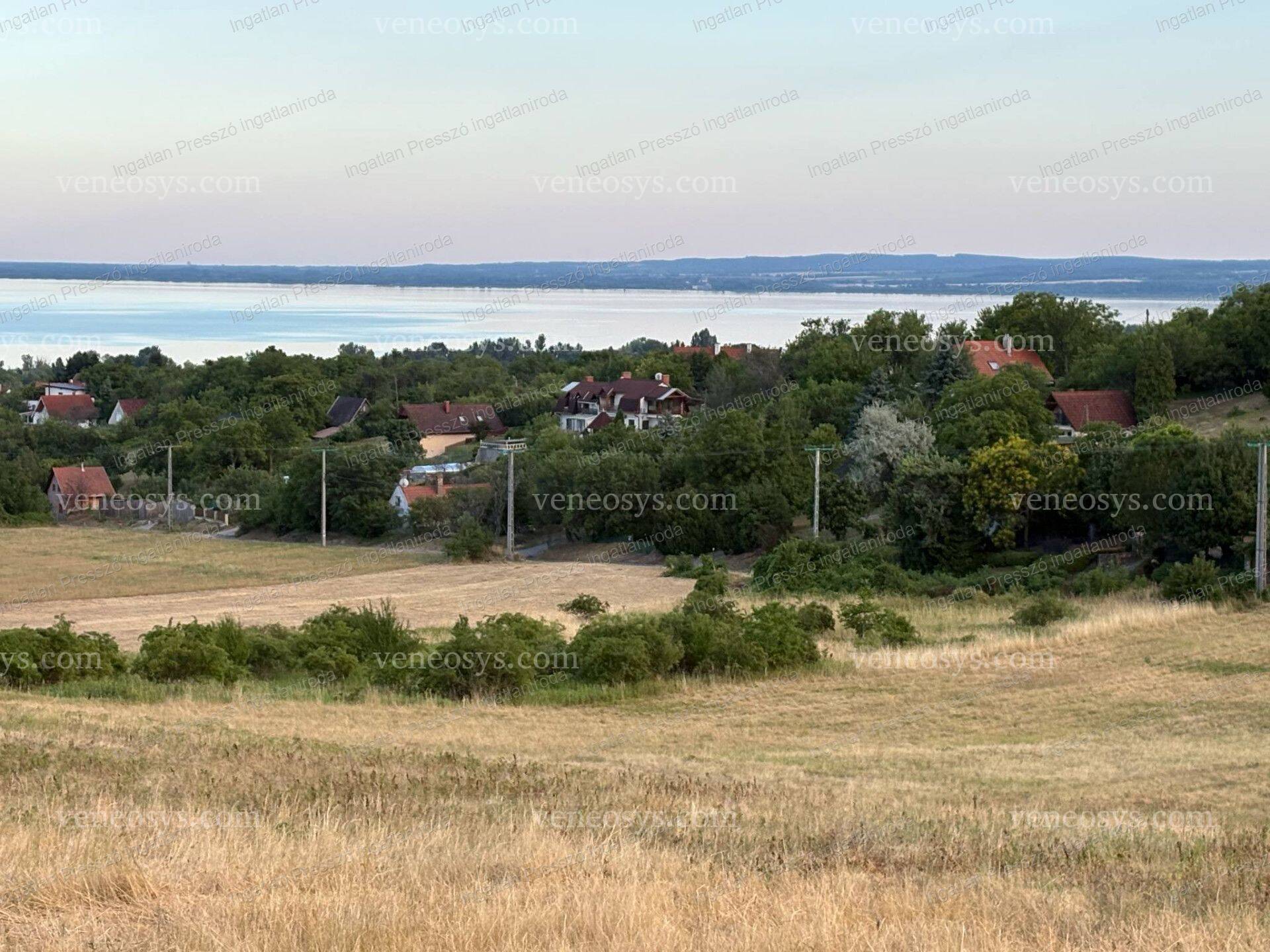 Kép 4