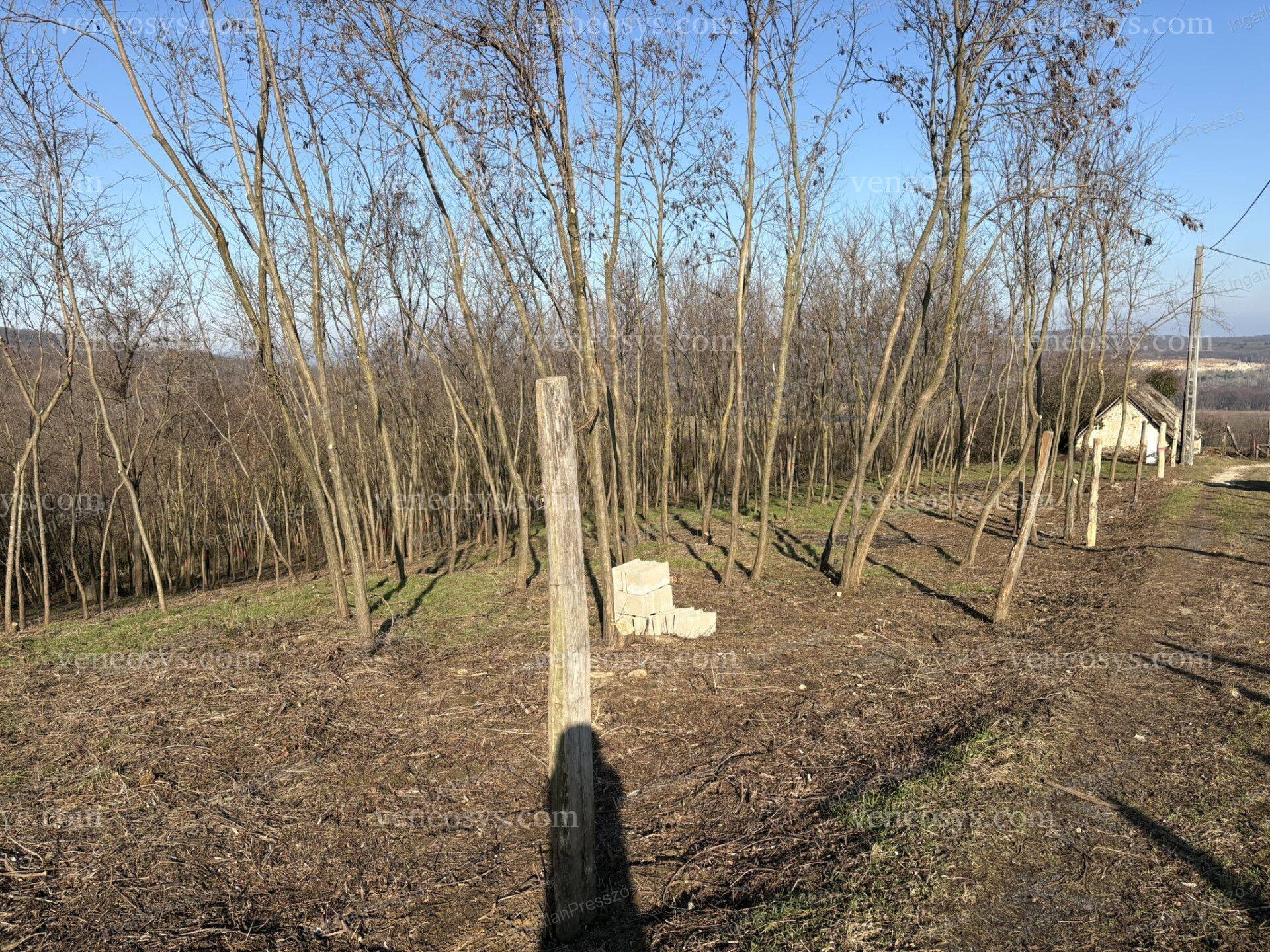 Kép 14