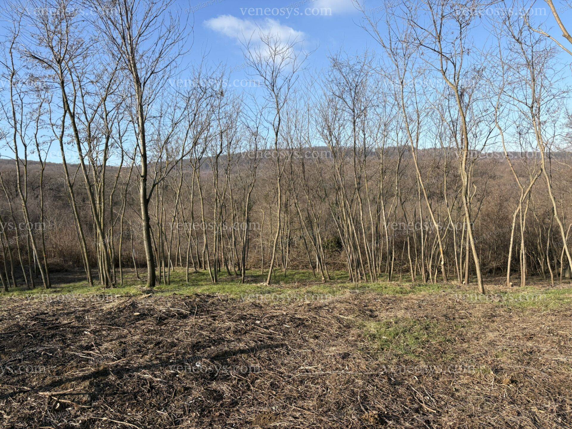 Kép 20