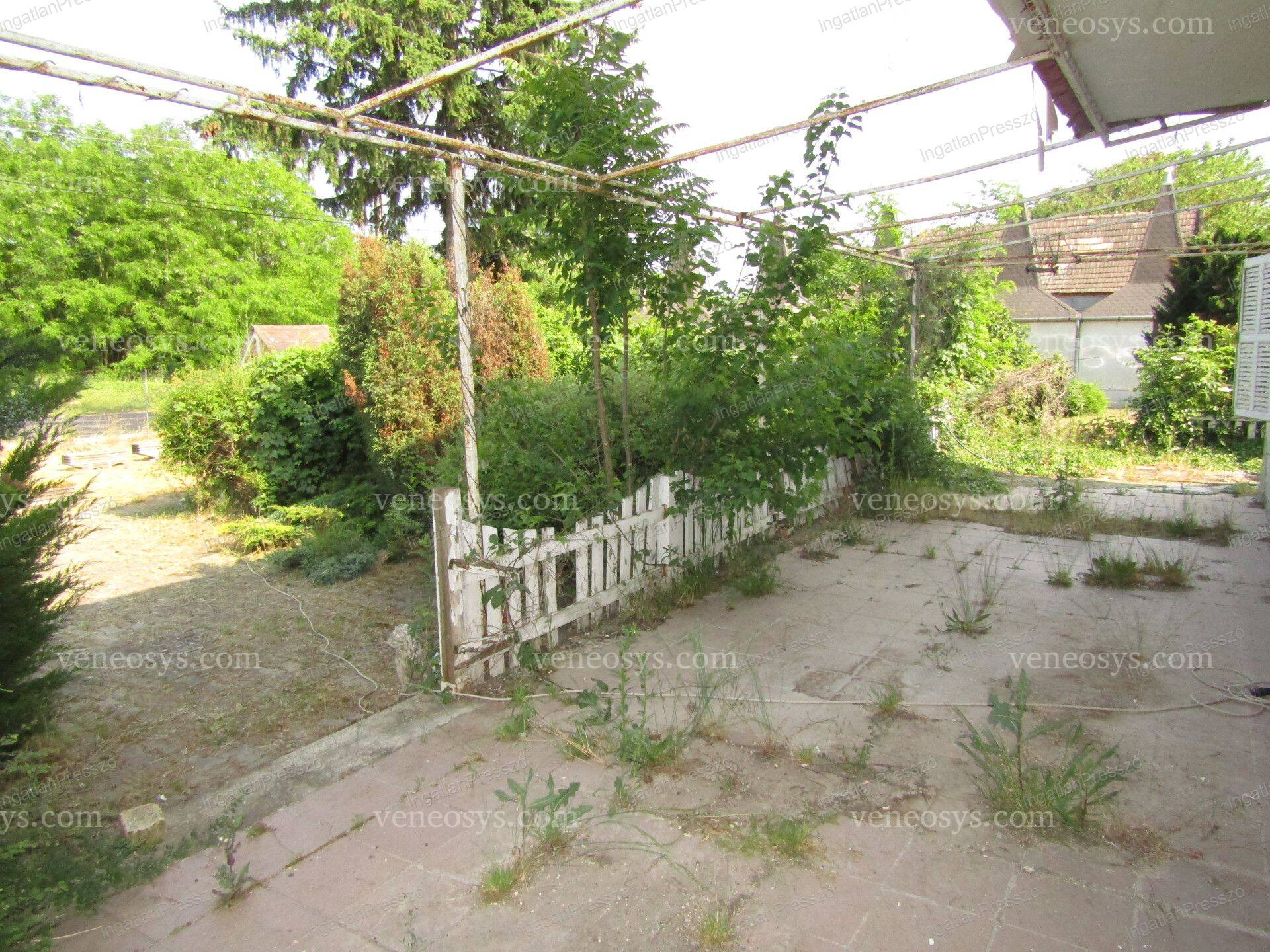 Kép 9