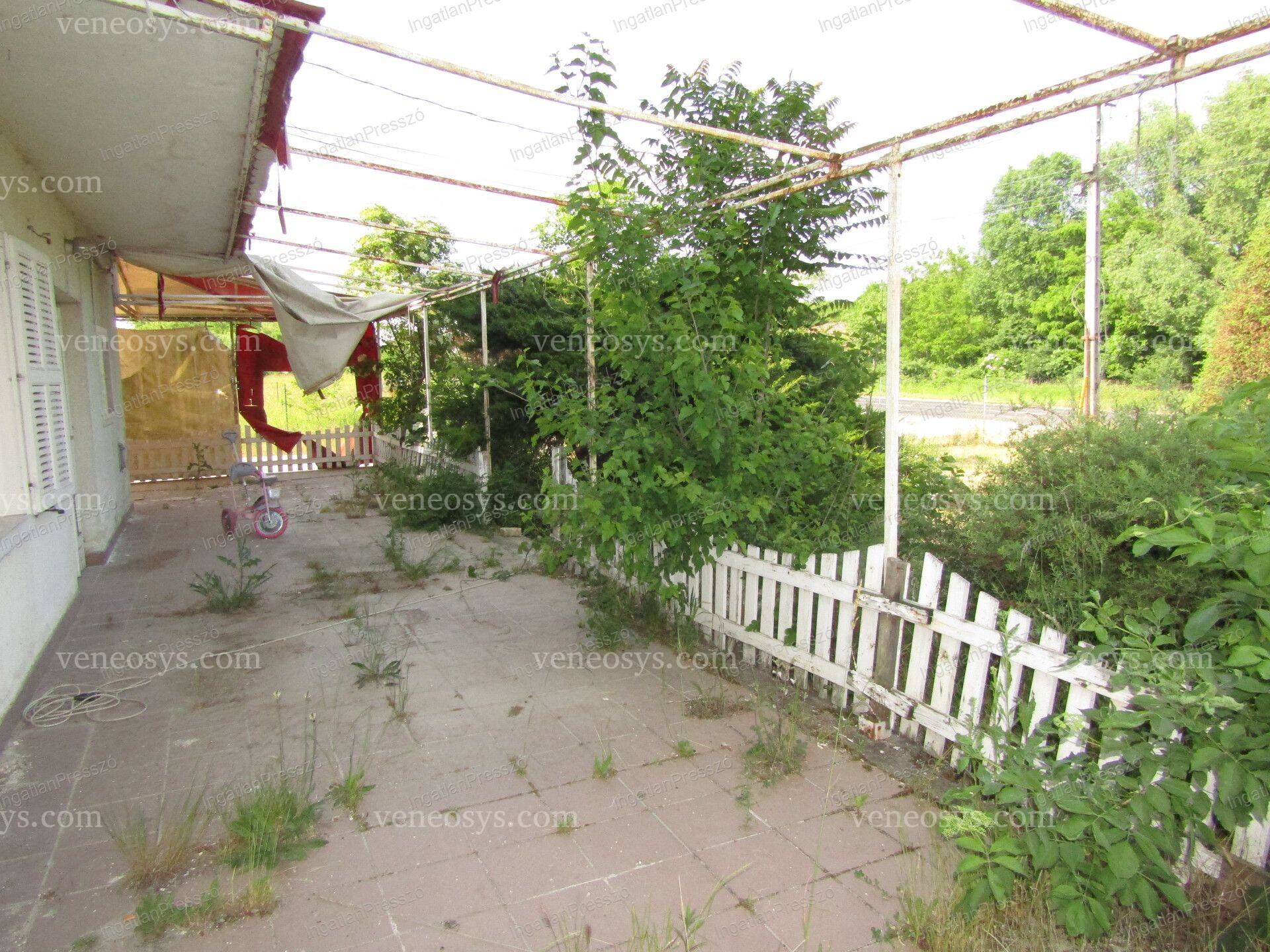 Kép 10