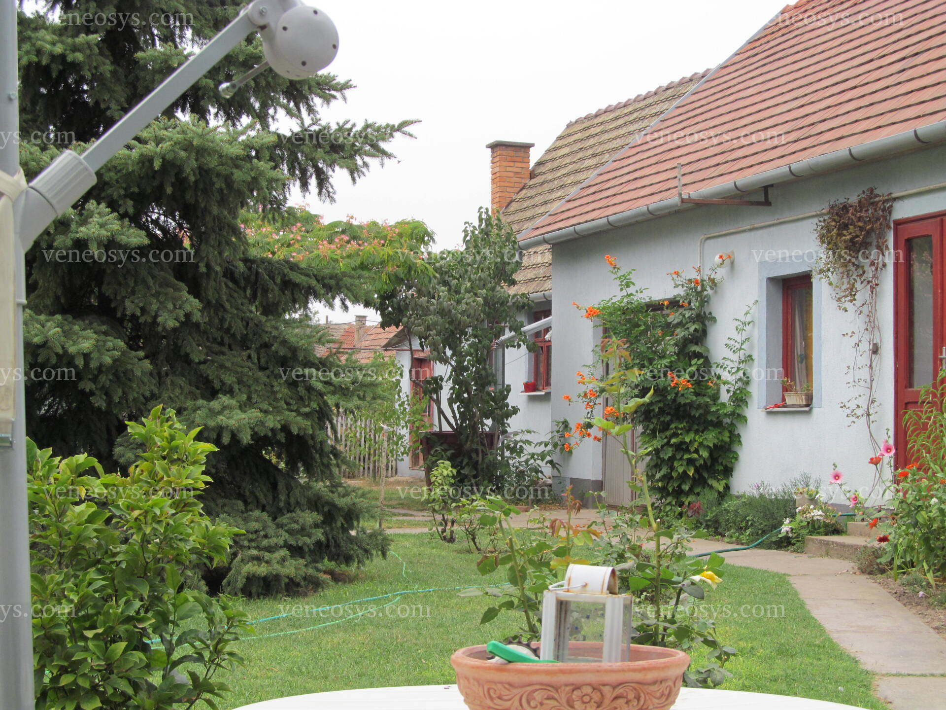 Kép 39