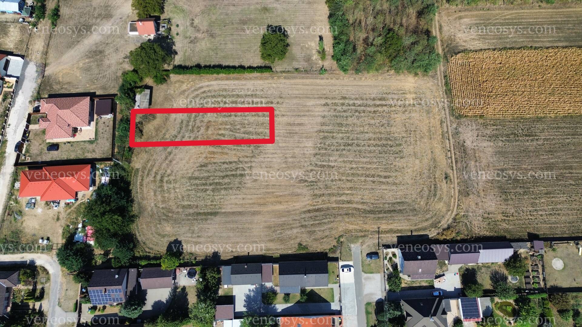 Kép 5