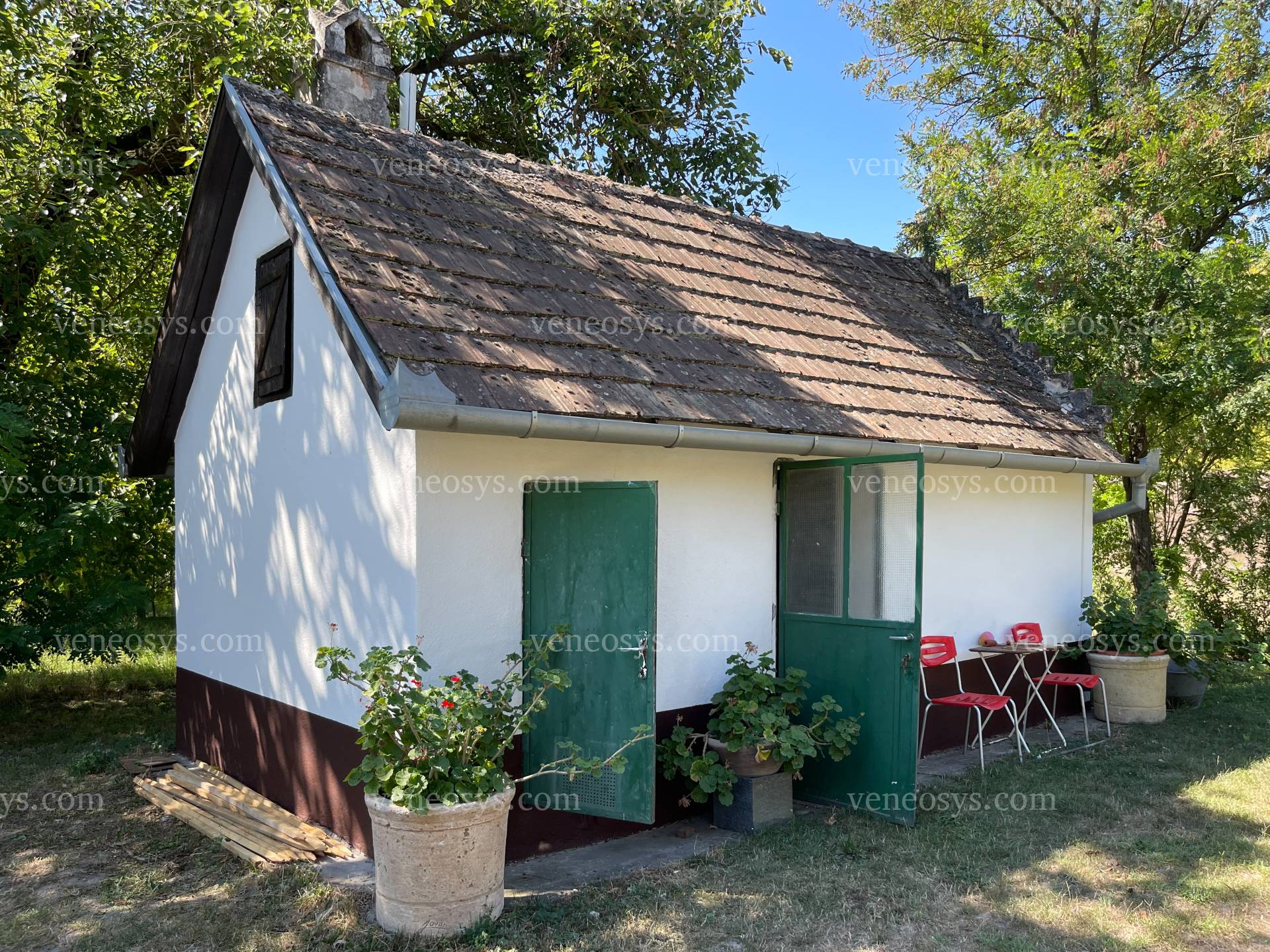 Kép 5