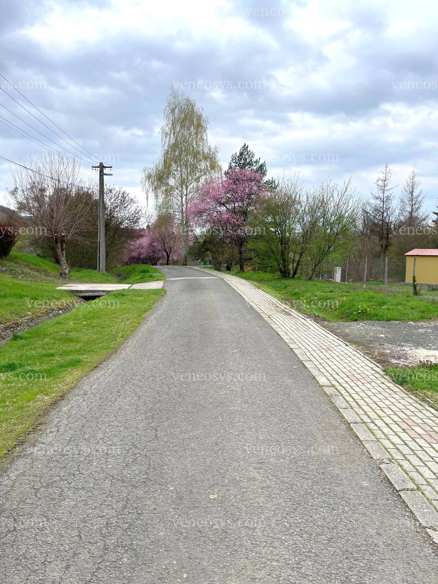 Kép 7
