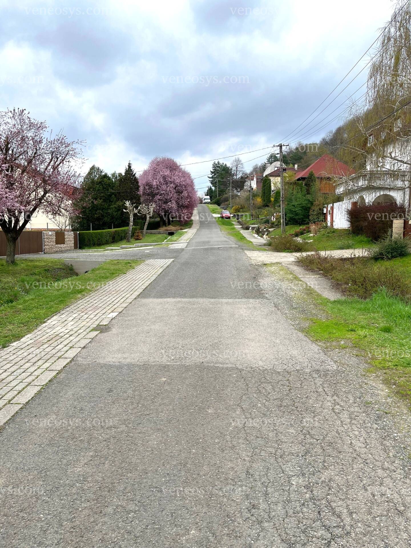 Kép 6