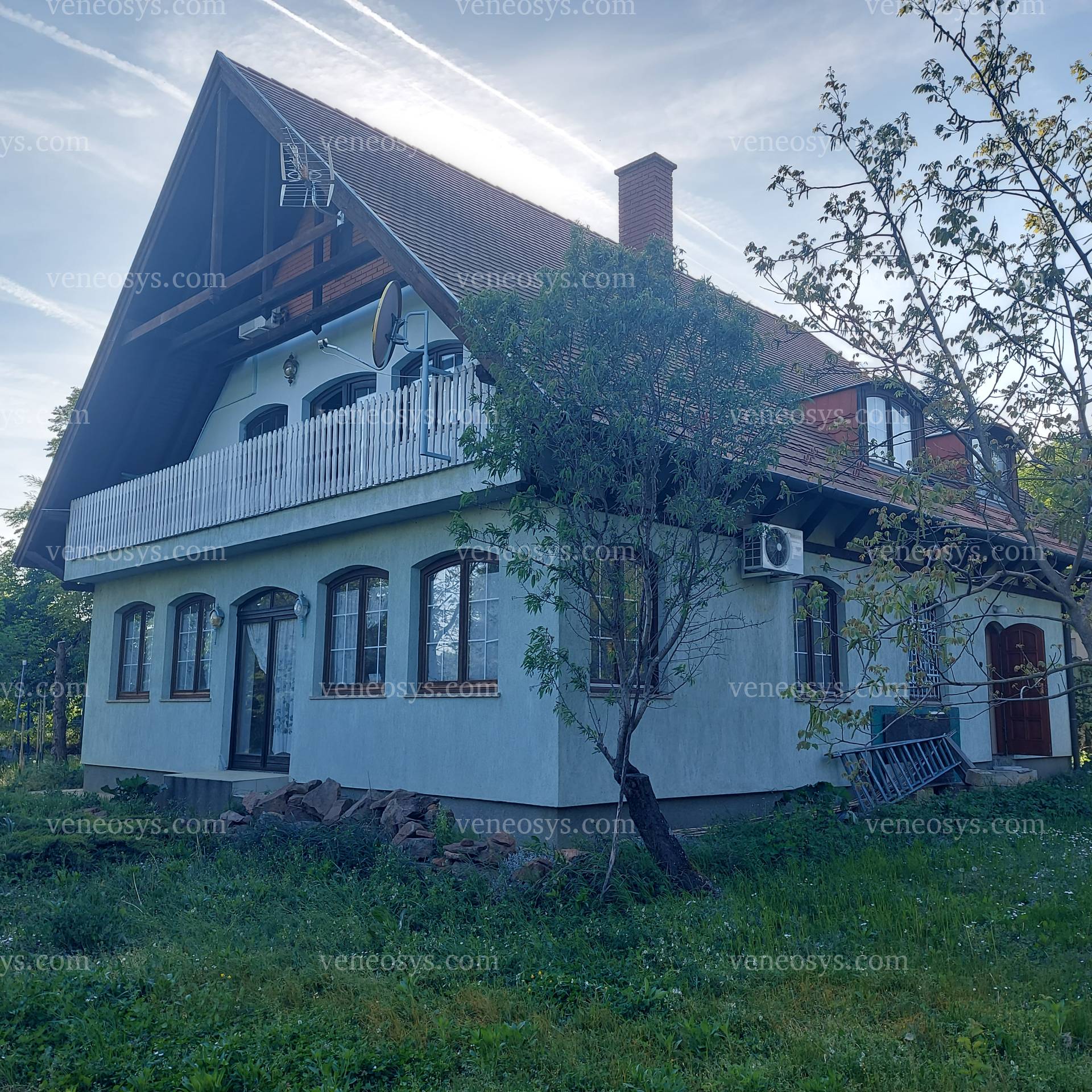 Kép 7