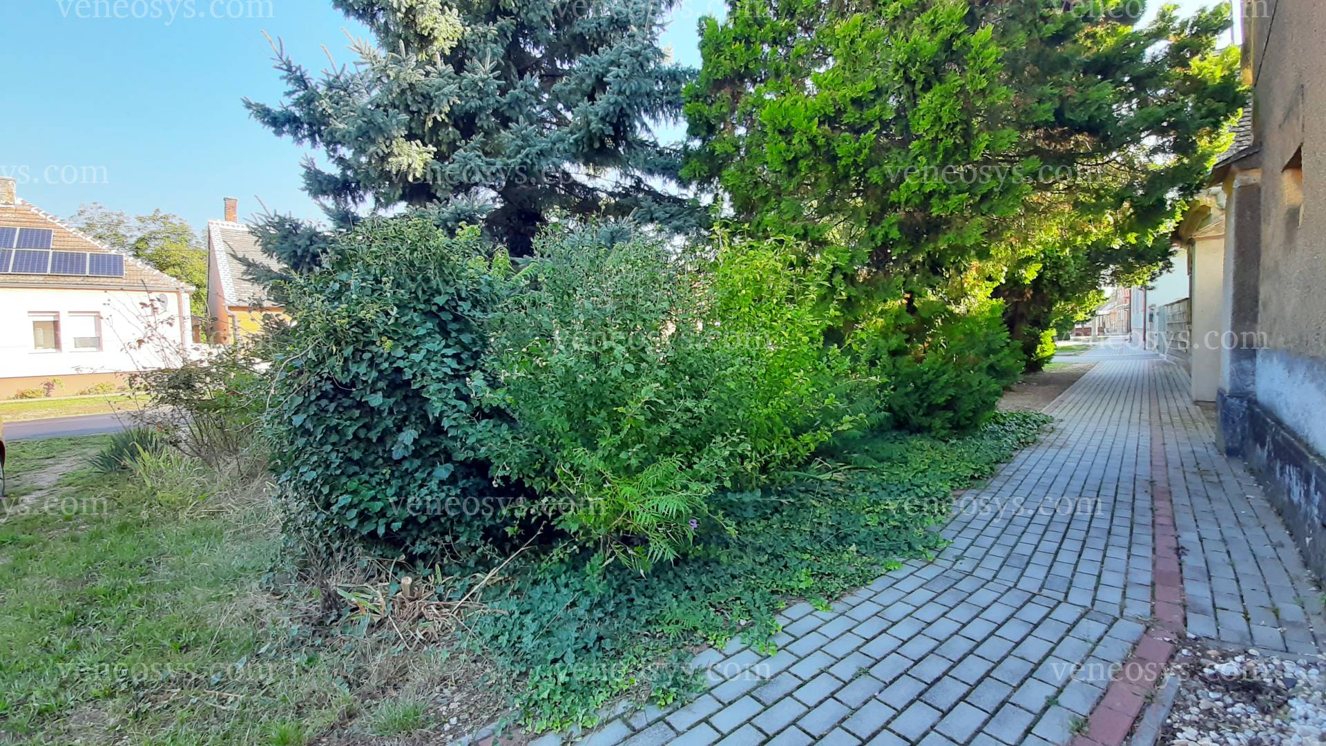 Kép 7