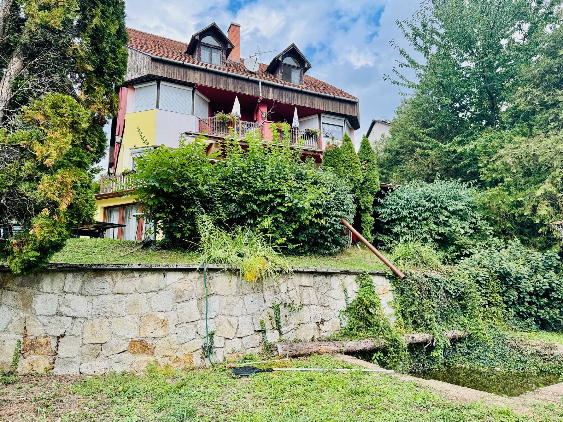 Kép 1