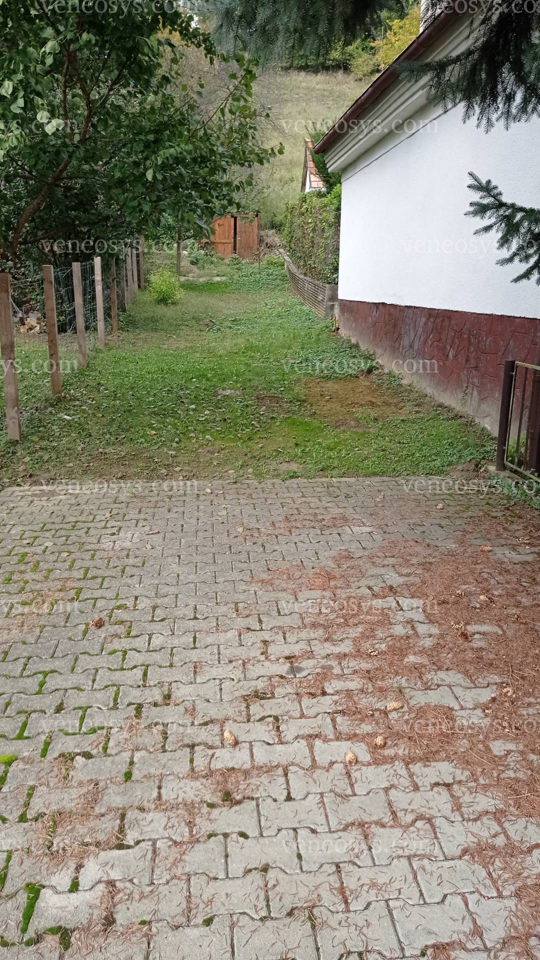 Kép 9