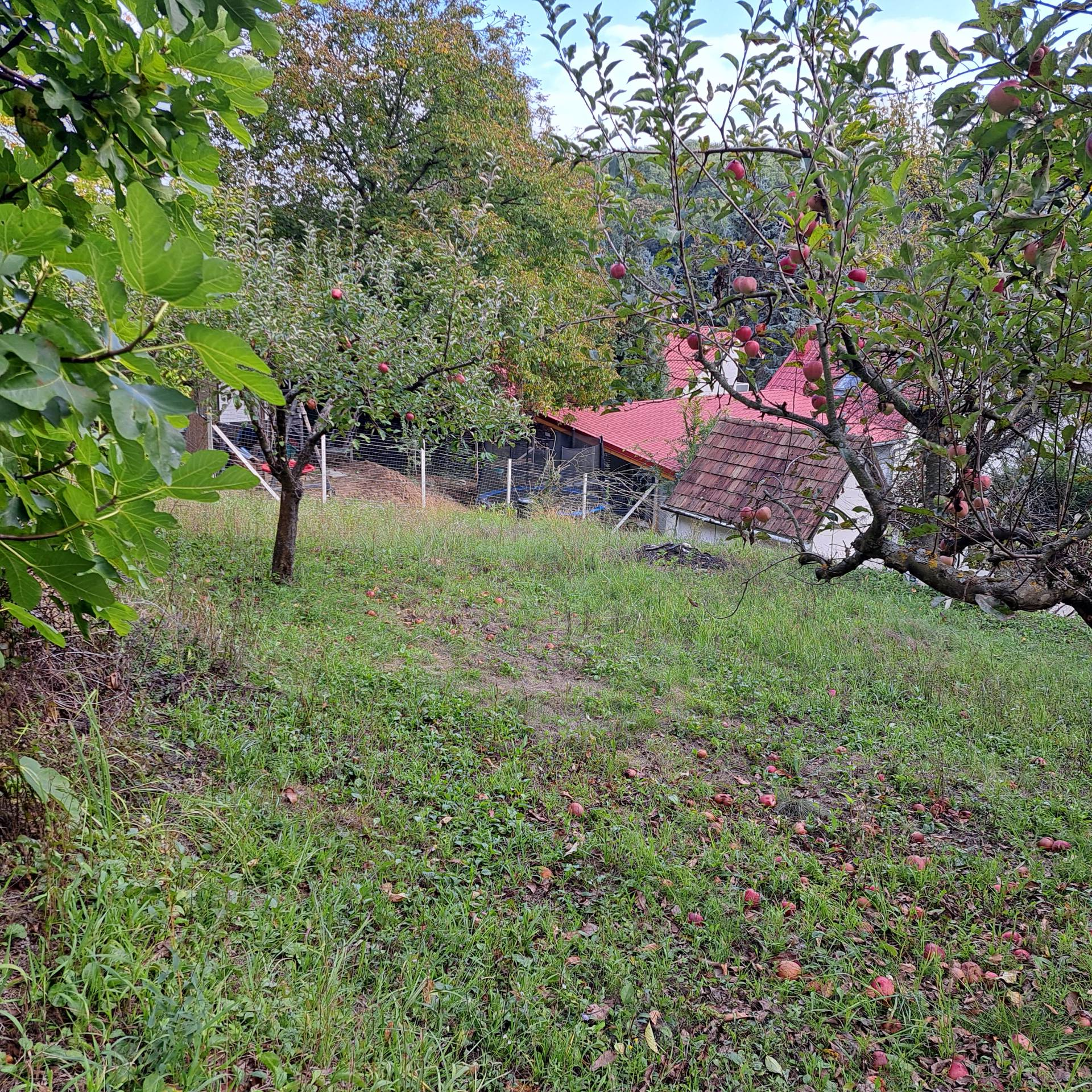 Kép 6