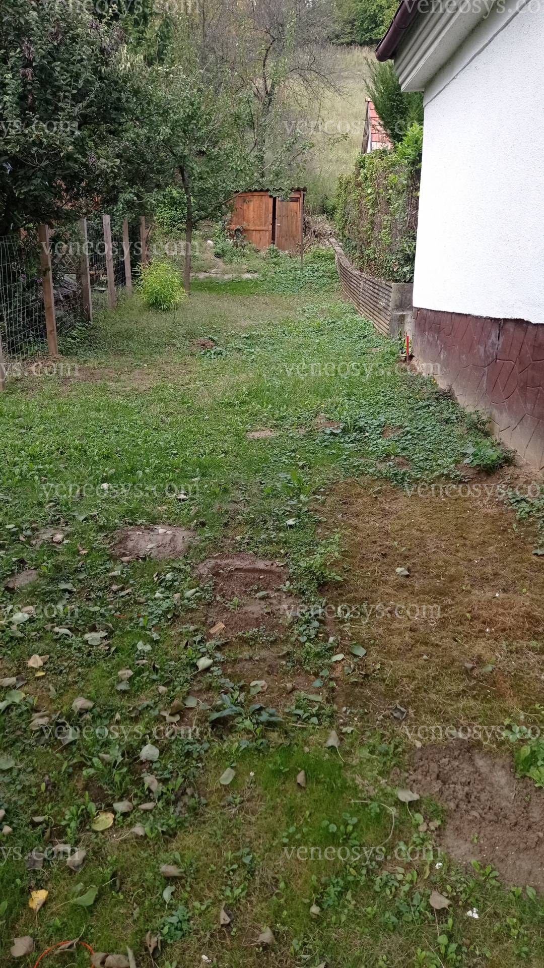 Kép 10