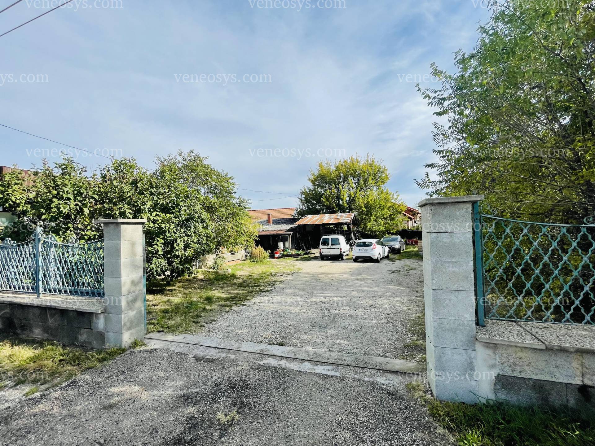 Kép 6