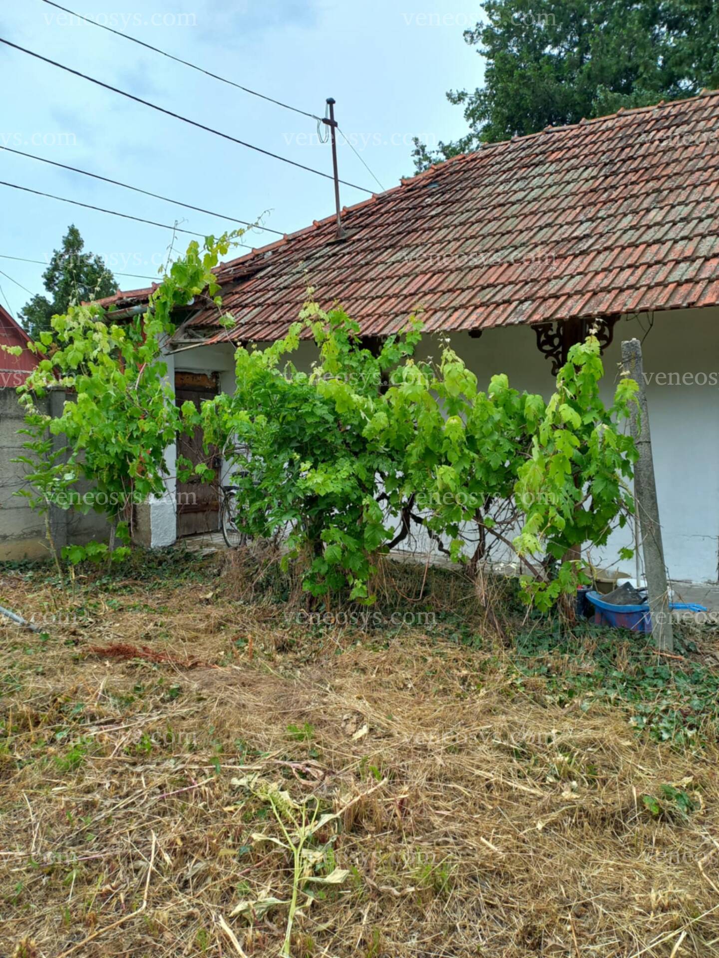 Kép 14