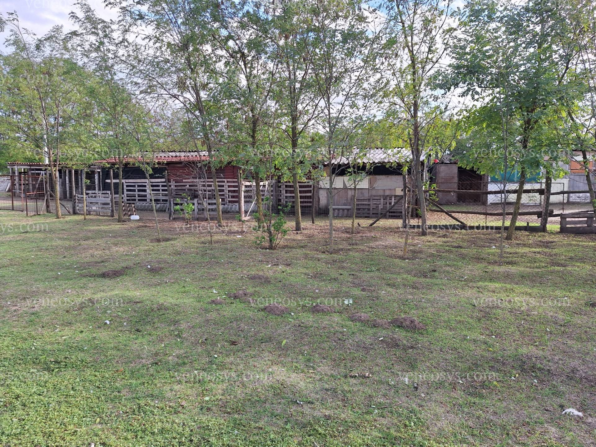 Kép 6