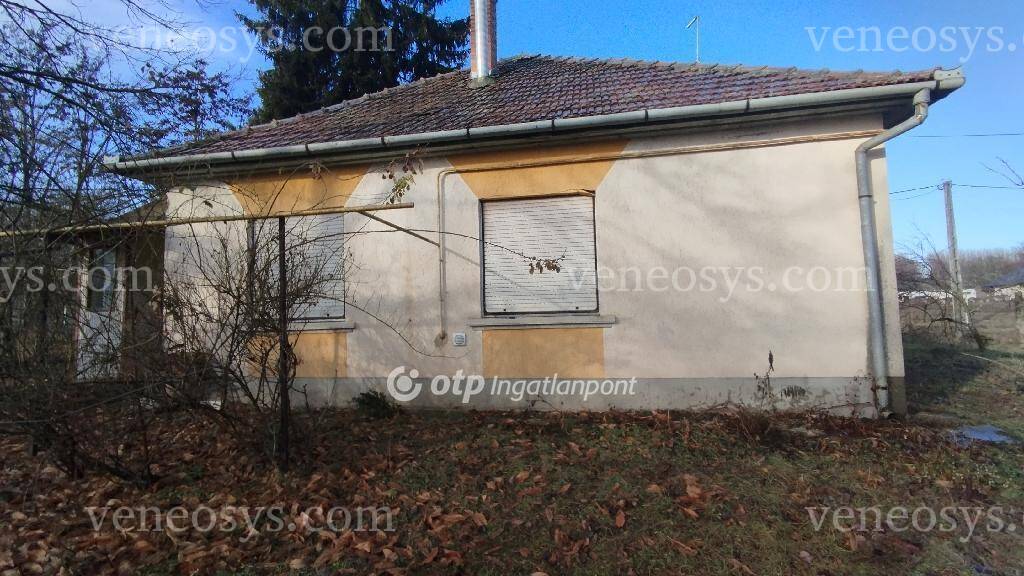 Kép 5