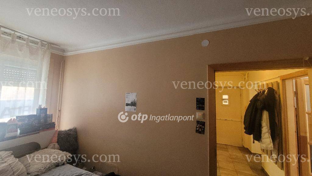 Kép 10