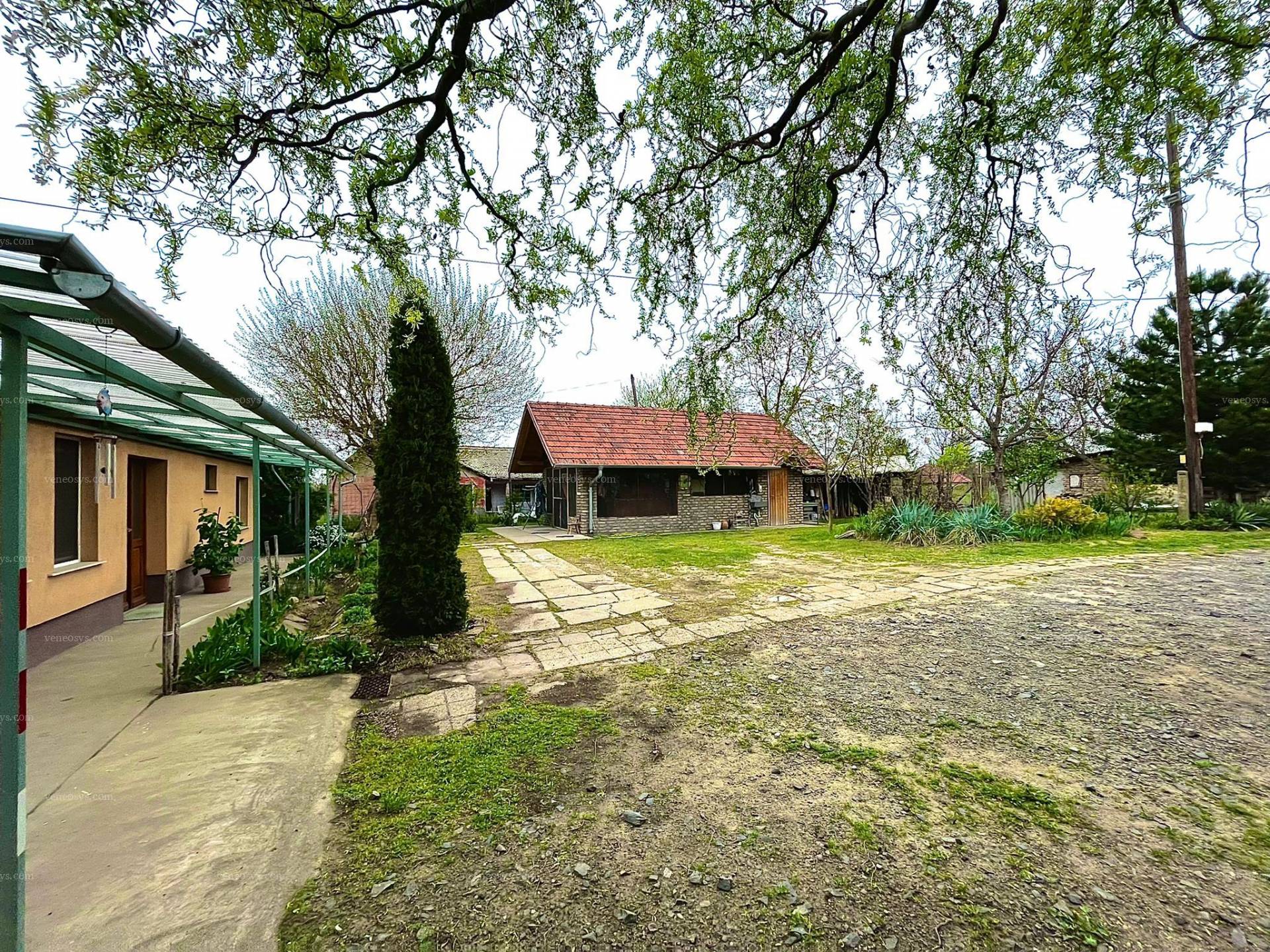 Kép 14