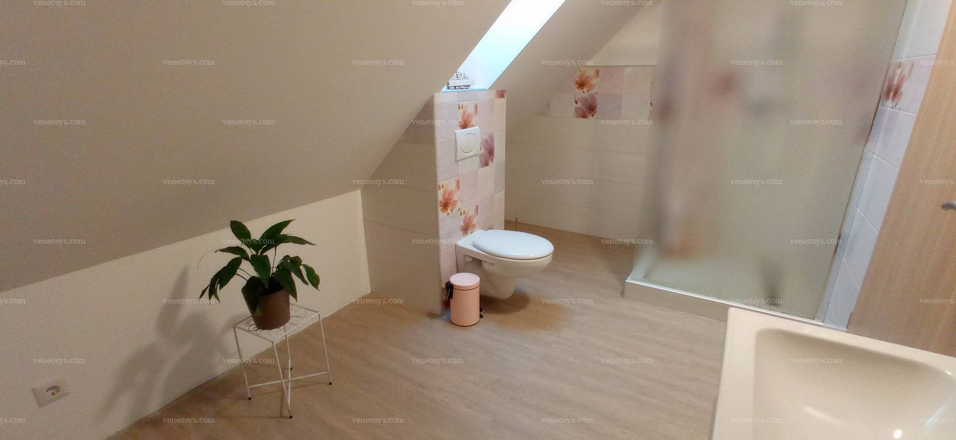 Kép 8