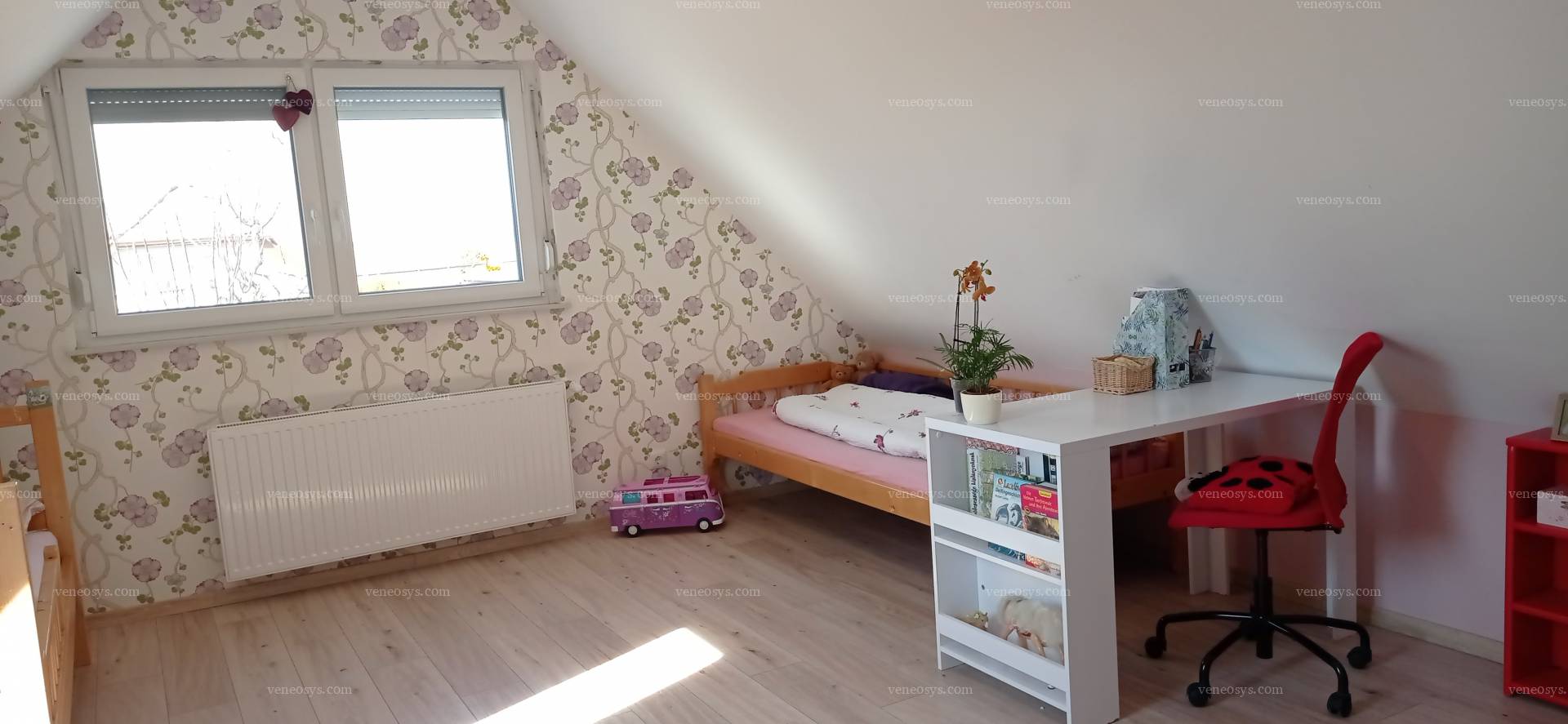Kép 13
