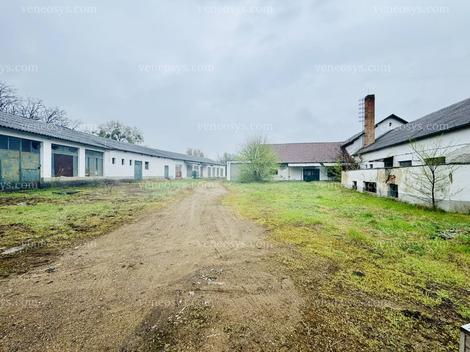 Kép 7