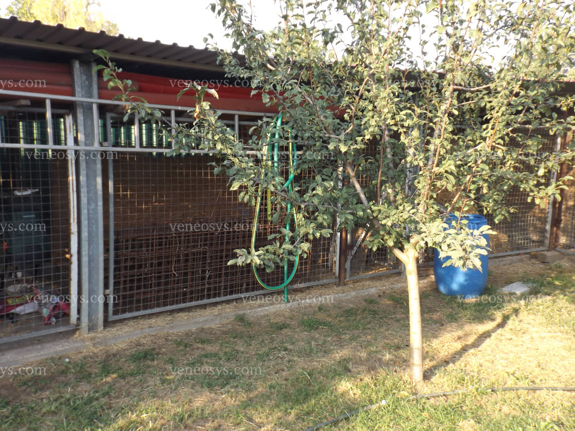 Kép 6