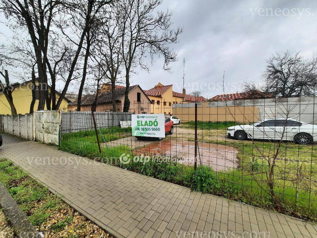 Kép 7