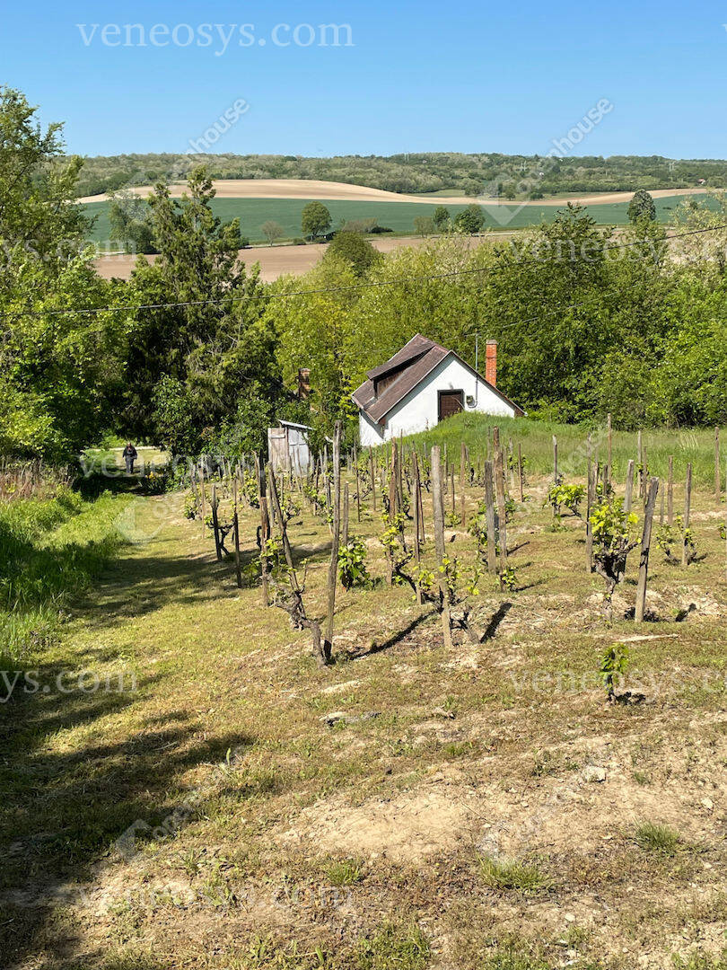 Kép 7