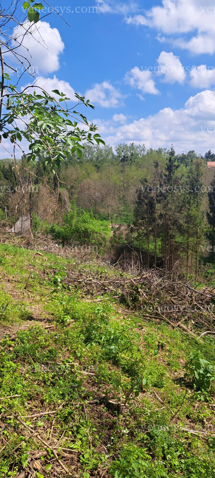 Kép 6