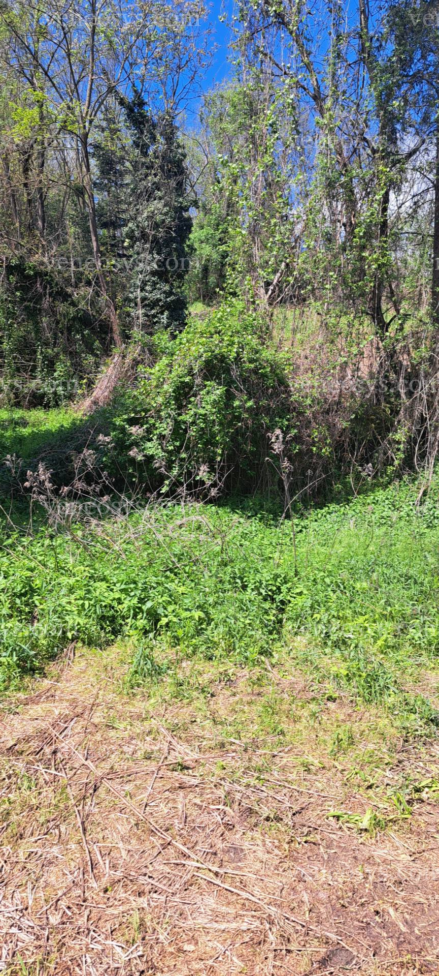 Kép 7