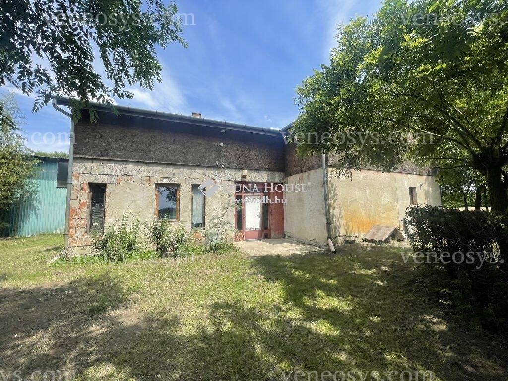 Kép 9