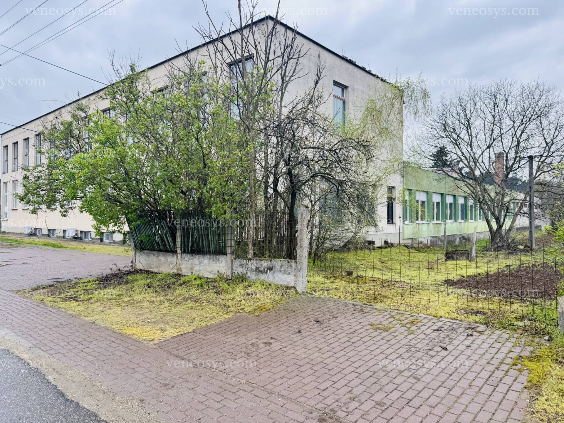 Kép 5