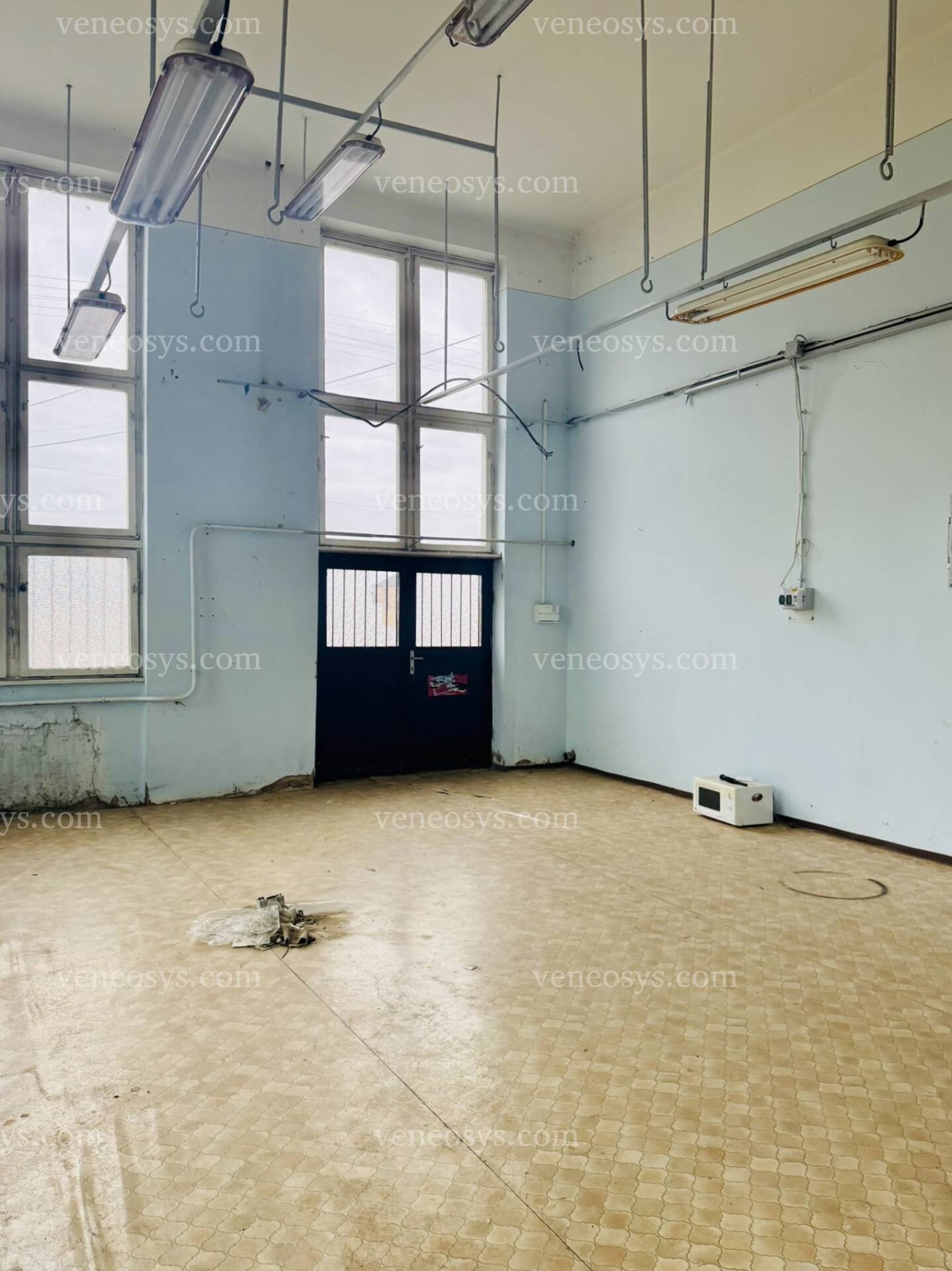 Kép 11