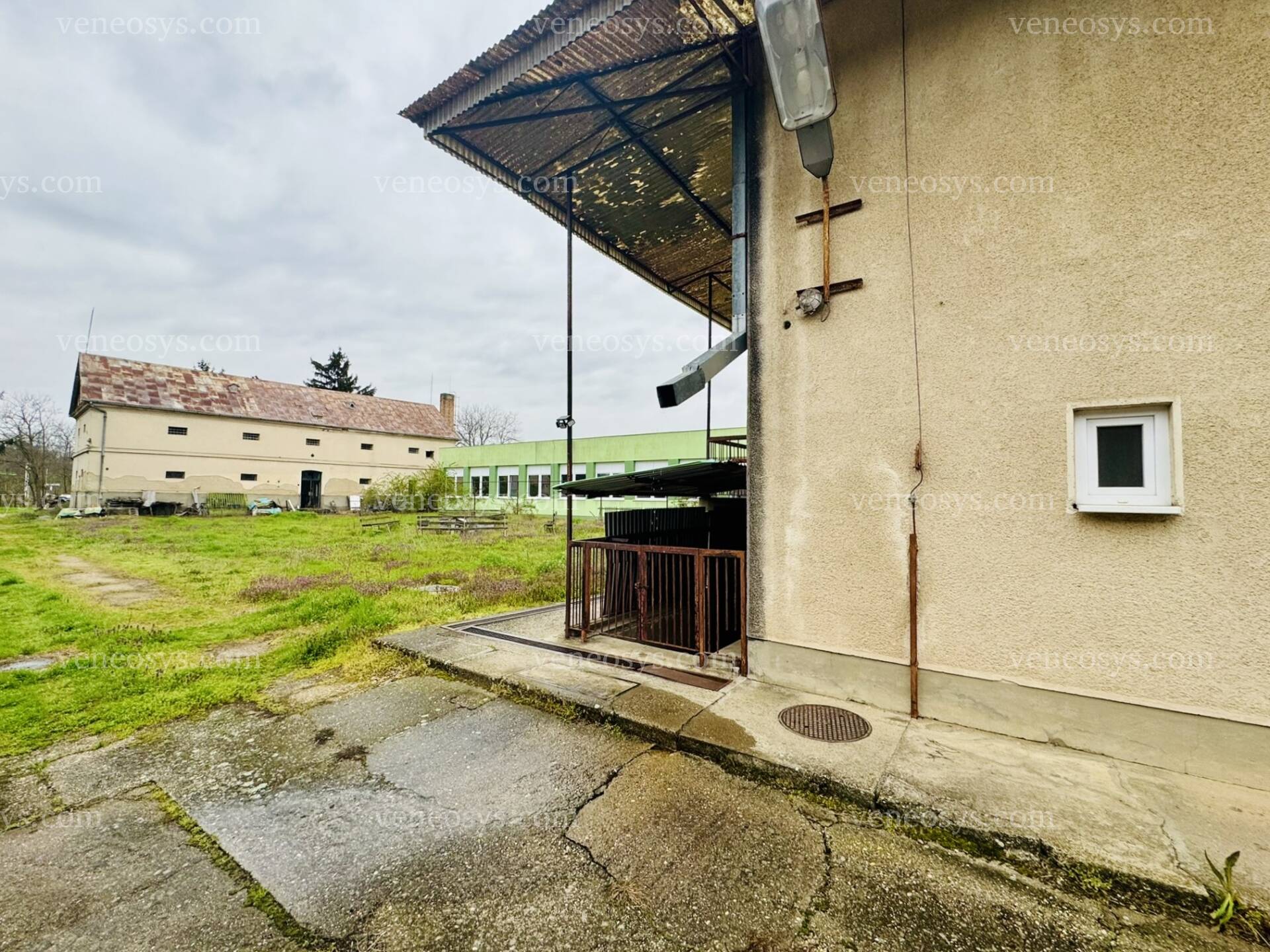 Kép 19