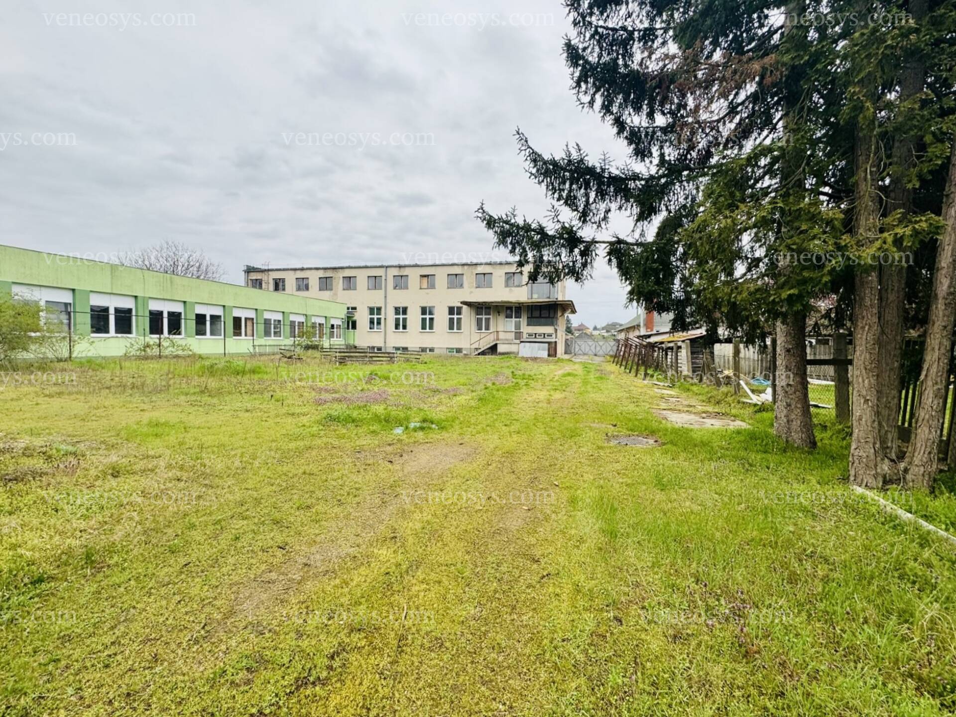 Kép 2