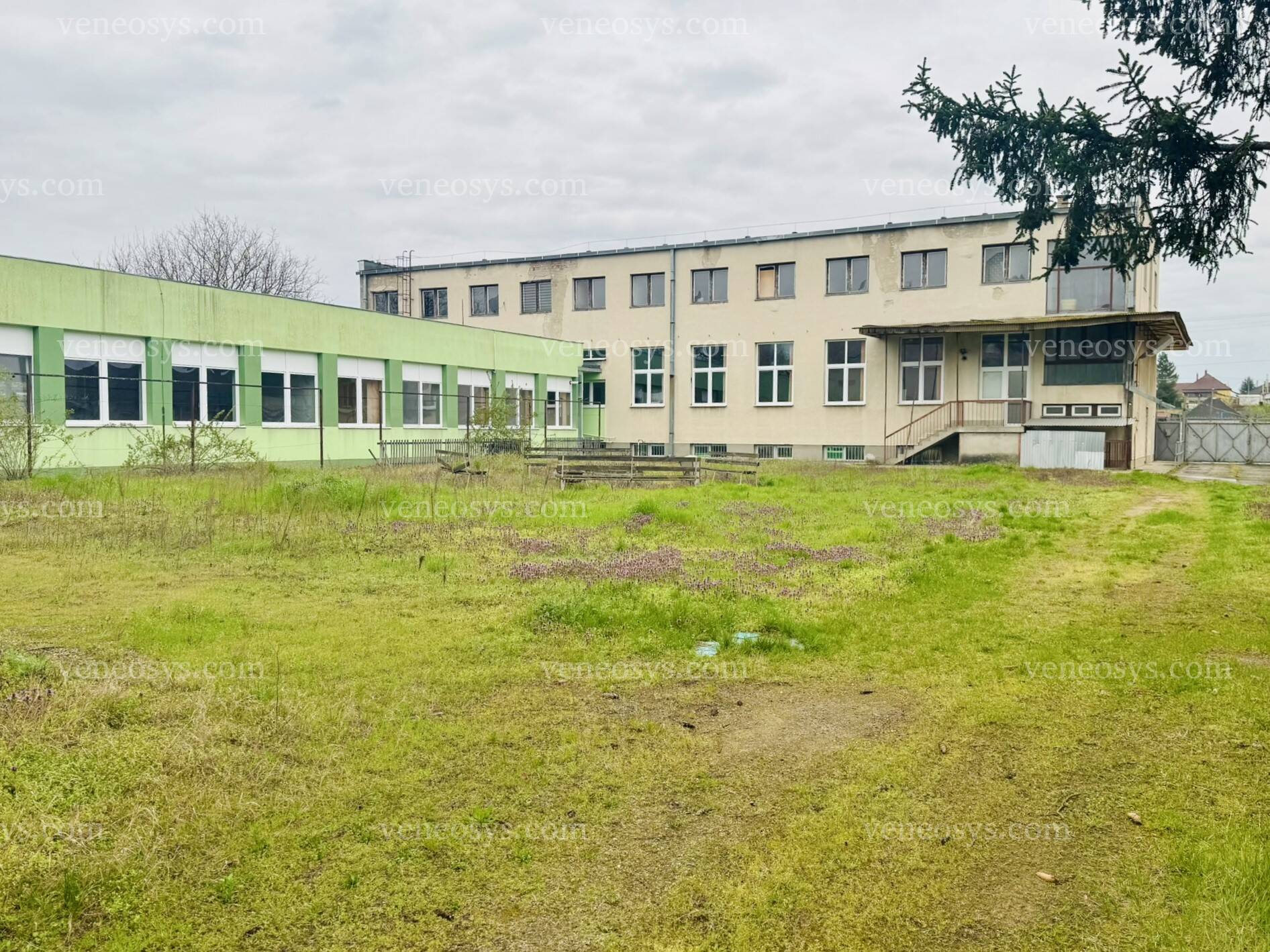 Kép 1