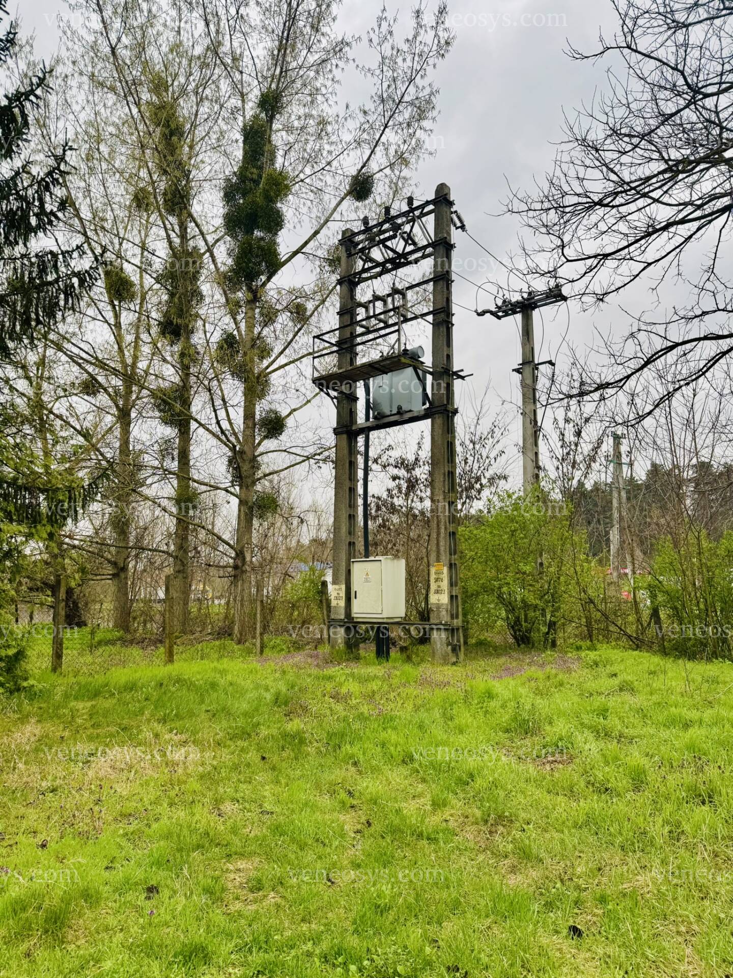 Kép 30