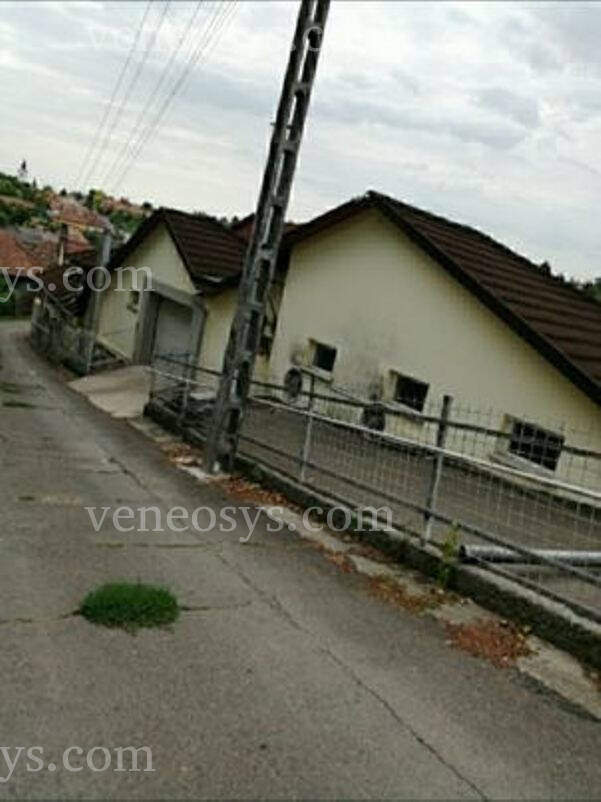 Kép 13