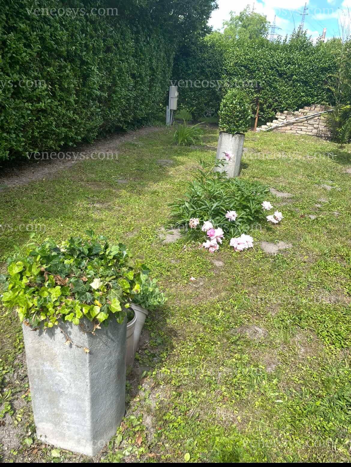 Kép 20