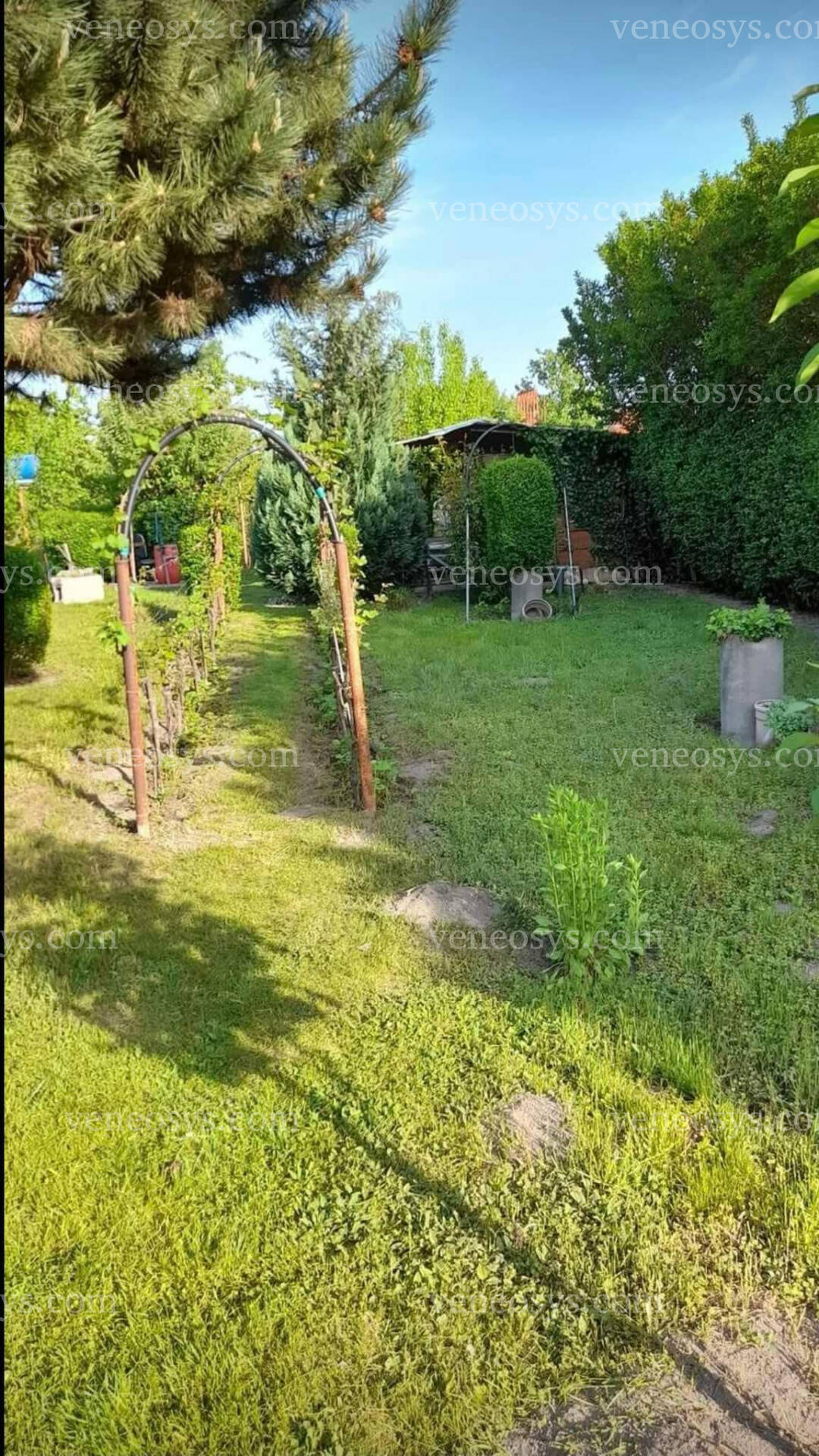 Kép 5